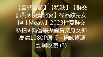 【全網首發】【稀缺】【群交派對★視覺盛宴】極品紋身女神『Meaw』2023性愛群交私拍★輪番爆操騷貨文身女神 高清1080P原版～稀缺資源勁爆收藏 (3)